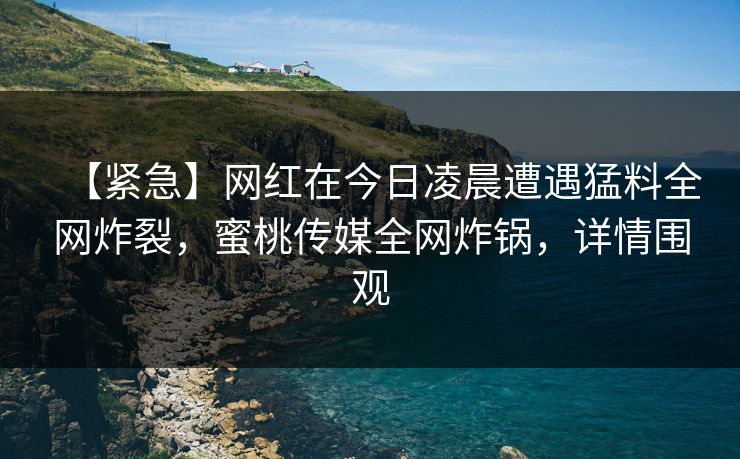【紧急】网红在今日凌晨遭遇猛料全网炸裂,蜜桃传媒全网炸锅,详情围观 【紧急】网红在今日凌晨遭遇猛料全网炸裂,蜜桃传媒全网炸锅,详情围观