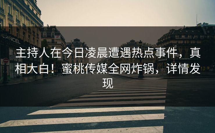主持人在今日凌晨遭遇热点事件，真相大白！蜜桃传媒全网炸锅，详情发现