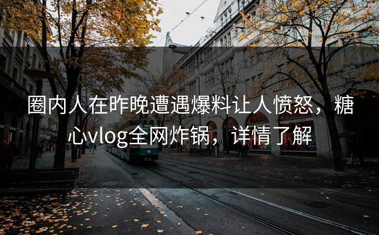 圈内人在昨晚遭遇爆料让人愤怒,糖心vlog全网炸锅,详情了解 圈内人在昨晚遭遇爆料让人愤怒,糖心vlog全网炸锅,详情了解